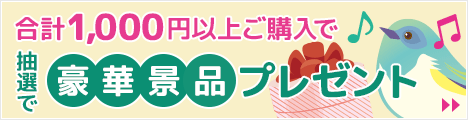 合計1,000円以上ご購入で豪華景品プレゼント