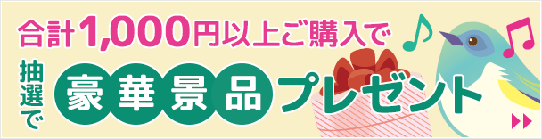 合計1,000円以上ご購入で豪華景品プレゼント