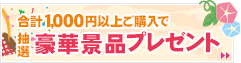 合計1,000円以上ご購入で豪華景品プレゼント