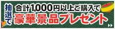 合計1,000円以上ご購入で豪華景品プレゼント