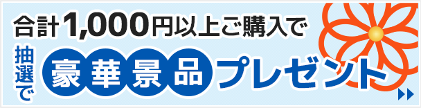 合計1,000円以上ご購入で豪華景品プレゼント