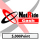 NetRideCash 5,000円分