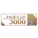 PNポイント3000