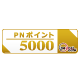 PNポイント5000