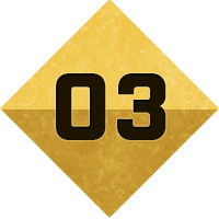 STEP03