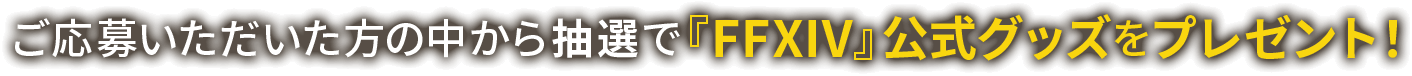 ご応募いただいた方の中から抽選で『FFXIV』オリジナルグッズをプレゼント！
