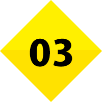 STEP03